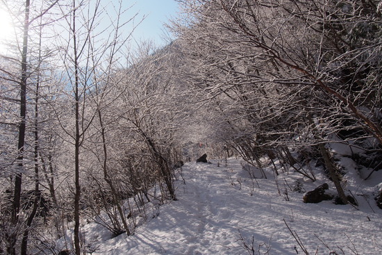 4月 残雪期 仙丈ヶ岳 ラッセル 敗退
