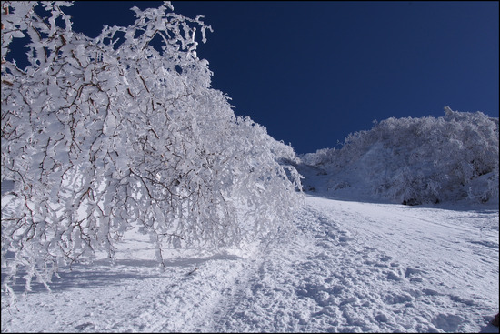 2017年1月31日 八ヶ岳 赤岳 厳冬期 冬季
