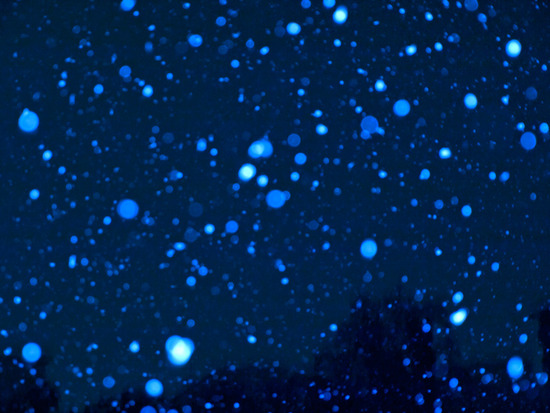 snow5