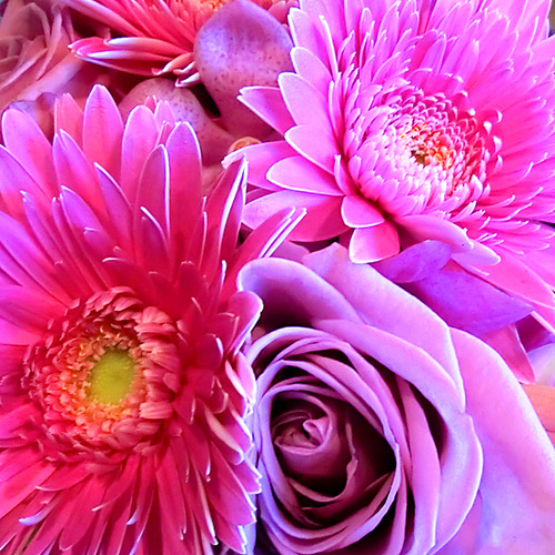 flower