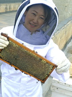 bee hybes 2