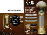 acnon09202010