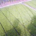 3a7ec1b5.jpg