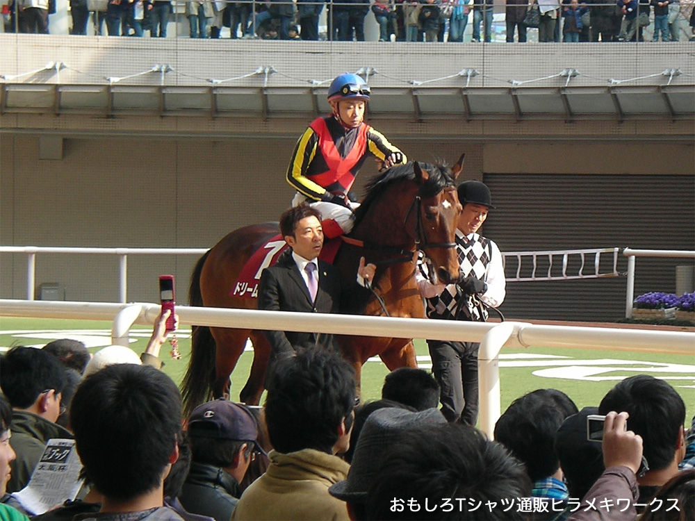 2011ǯ4·î3Æüºå¿À¶¥ÇϾ졢»º·ÐÂçºåÇդΥɥ꡼¥à¥¸¥ã¡¼¥Ë¡¼¤ÈÃÓźµ³¼ê