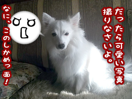 2014-12-6-3