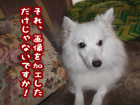 2015-1-25-1
