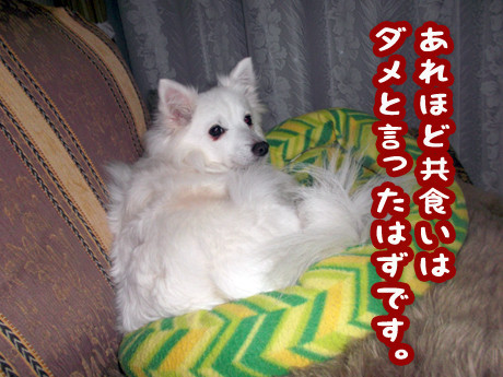 2015-1-24-3