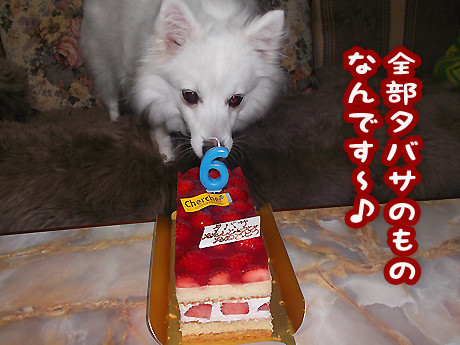 2014-12-13-4