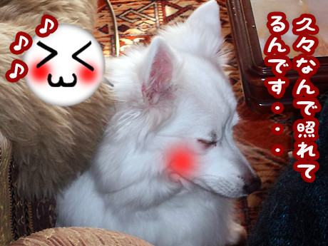 2014-12-21-4