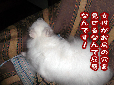 2014-11-1-4