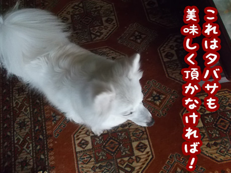 2015-2-14-5