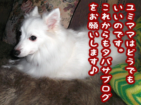 2014-10-21-5