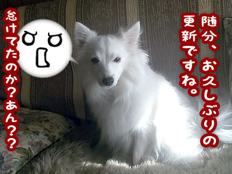 2014-12-6-1