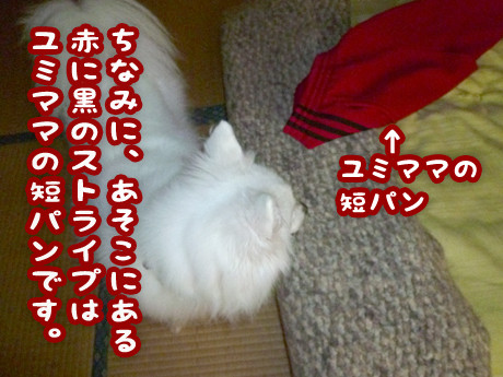 2014-9-19-4