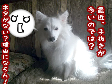 2014-12-6-2