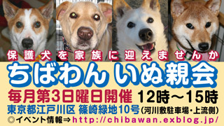 bd9aef3d6bd615a9b00026a0326f01e1