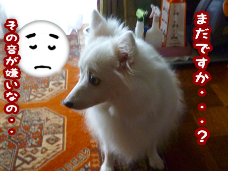 2014-10-5-3
