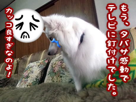 2014-11-9-2