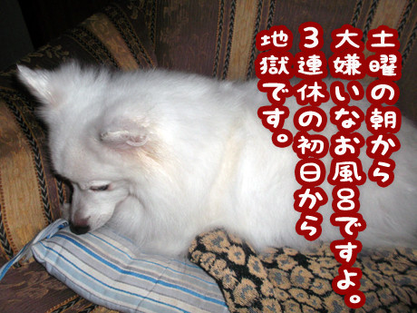 2014-11-1-1