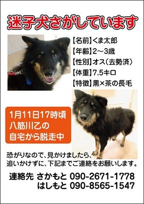 bd289a03671cd06a92f3a107087255bf