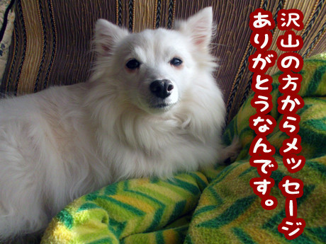 2014-12-13-5
