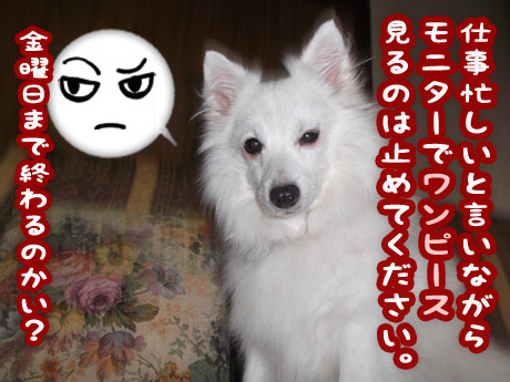 2014-11-12-1
