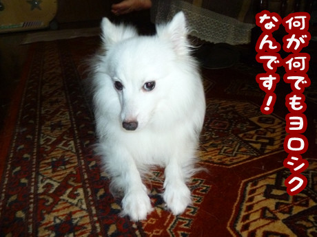 2014-11-5-1