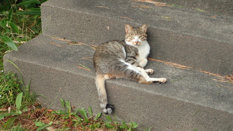 P9200367
