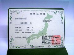 ヤマガラの森の照明書