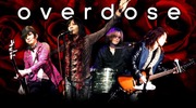 overdose2018summer