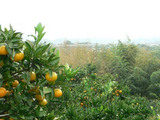 f37e1b6e.jpg