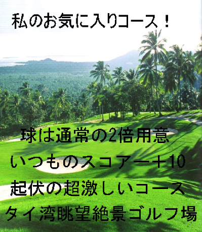 ¥µ¥à¥¤Å祴¥ë¥Õ¾ì