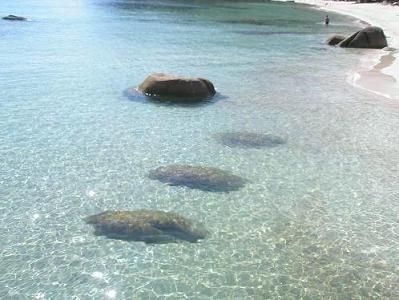 サムイ島の写真014