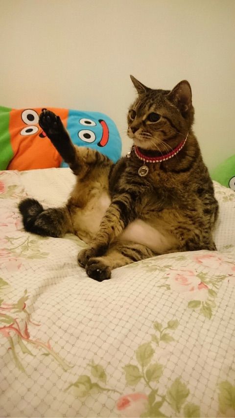 no title