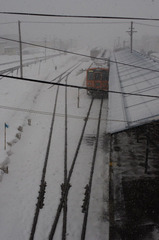 snow_aomori