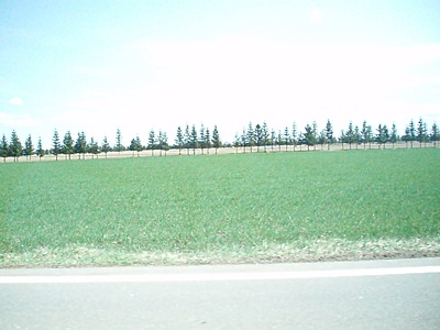 sP5109740