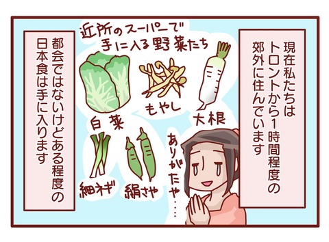 japanese foods