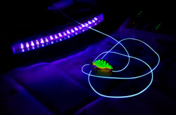 111106 blacklight