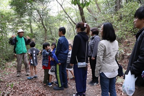 観察会