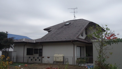 DSC07037(1)