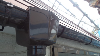 DSC08302