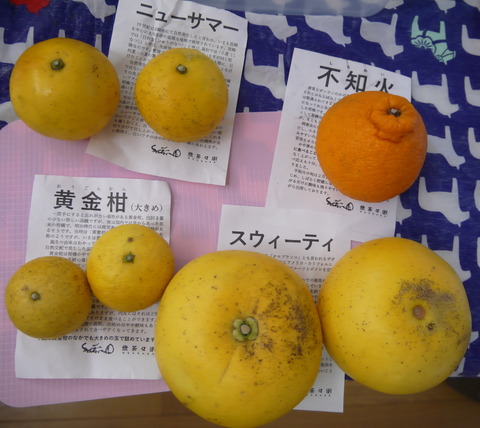P1390012