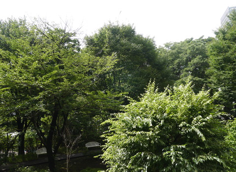 P1390894