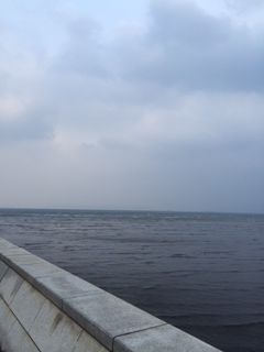 tm004