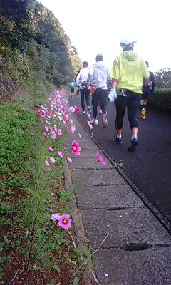 hirado002
