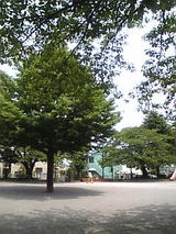 90f02871.jpg