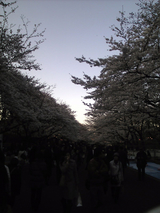 BlogPaint