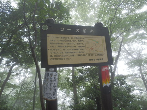 P7210294