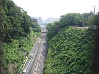 P7273251