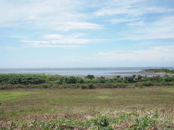 P8151365